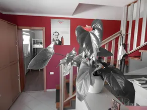 Hostel Ociski Raj - Image 5