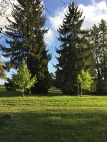 Château de Romécourt - Image 5