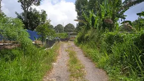 Tree Story Farm by FarmVille @ Seremban - Image 5