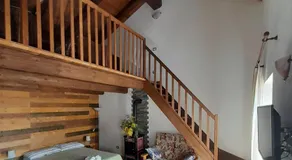B&B Le Mimose - Image 3