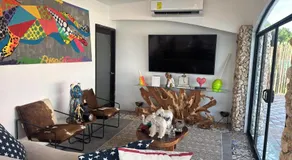 Casa tequila - Image 4