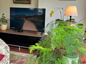 Villa with Jacuzzi and garden in Zekeriyakoy - Image 5