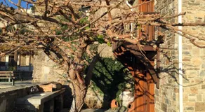 Maison Kyriakou - Image 5