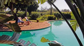Ancha's Oasis - Image 3