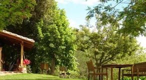 Mas El Bosquet - Image 3