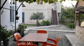 Ani's Green House - Image 4