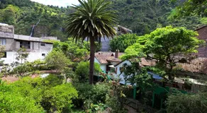 Le Petit Jardin - Image 4