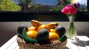 FINCA LA PLANTACIÓN _Agroturismo - Image 2