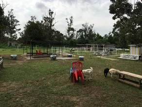 Grassy HomeStay Semenyih - Image 4