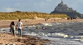 La glycine baie du Mont St Michel - Image 3