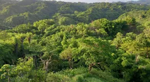 Parakeet Hideaway - Image 4