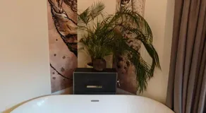 Huize Triangel - Wellness studio met sauna - Image 2