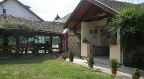 Apartments and rooms with parking space Bilje, Slavonija - 25232 - Image 3