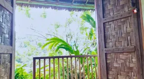Canjahawon Nipa Hut Homestay - Image 5