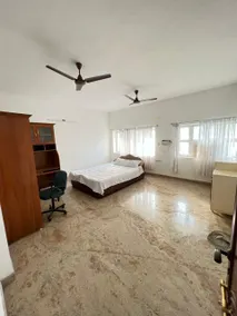 Mango ranch - Image 5
