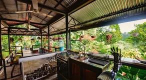 Selva Madre Eco-Sanctuary - Image 2