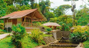 Finca Las Palmas Ecolodge - Image 2