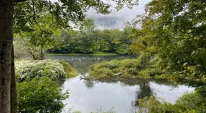 Trout Town Inn - Image 5