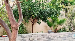 Primrose Boutique Apartment - Image 4