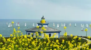 Santa Cruz - Image 5