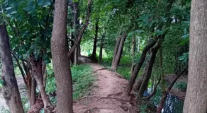 Sradha Farm Stay - Kollengode - Image 5