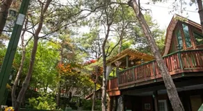 Hoengseong Marshmallow Pool Villa pets allowed - Image 4