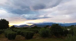 B&B Villa Sabrina - Image 5