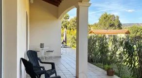 Le Pin d'Alep - Image 5