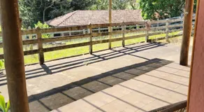 João-de-barro - Image 3