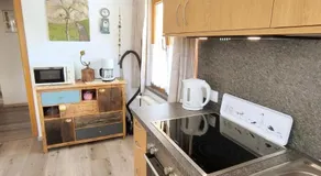 Ferienwohnung Spitzmandl - Image 2