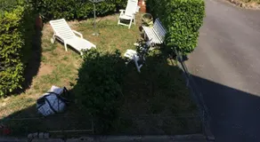 Cosy's Olivier - Image 5