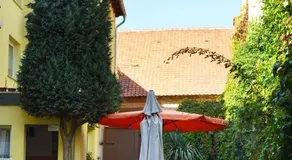 Pension Damköhler Thale OT Westerhausen - Image 3