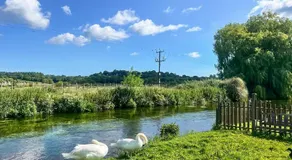 Duckling Cottage - Image 4