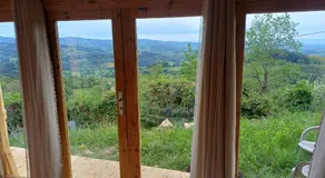 Grand Chêne - Image 5