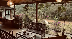 COI NGUON FARM GLAM Mang Den - Image 4