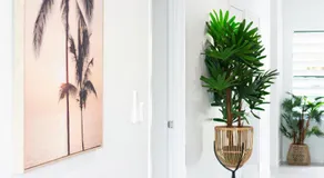 Bamboo Villa - Edge Hill Cairns Luxury Pet Friendly Sleeps 3 - Image 3