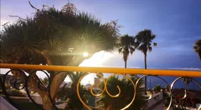PURA VIDA - Image 4