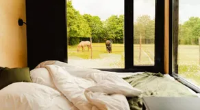 Puits Carré - Parcel Tiny House - Tiny House près des chevaux dans le Perche MAE-8941 - Image 2