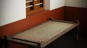 Nutmeg nirvana - Image 2