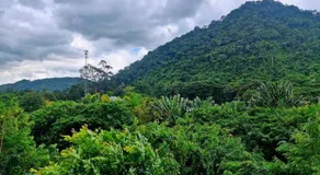 Baan Khaoyai by Chateau - Image 5