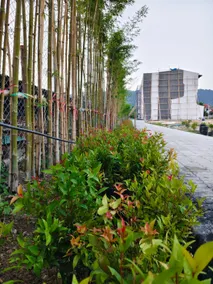 NKS Court - Image 3