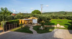 Cozy flats in an olive grove by the sandy beach - Image 5