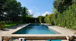 Haras de Castellane - Image 5