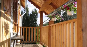 Saule - Image 3