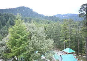 GReen valley Homestay - Image 4