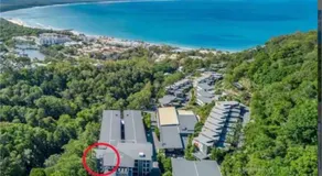 Lush Rainforest Retreat minutes from Hastings St 8201 - Image 5