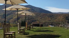 The Yurts at Margo's Garden, Kiroro - Image 5