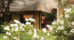 3 Brothers B&B - Image 5