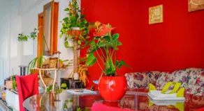Bed & Breakfast LA TERRAZZA - Image 2