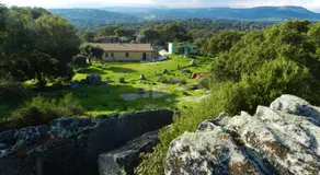 Chicchiritanos - Image 2